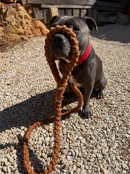 Laisse pour chien Nova